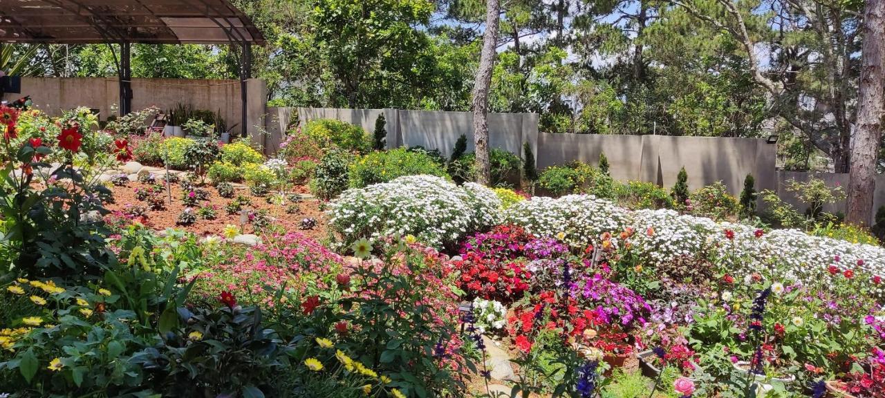 Bach Tra Villa Νταλάτ Εξωτερικό φωτογραφία