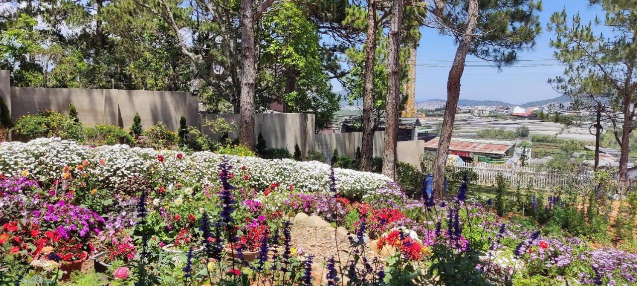 Bach Tra Villa Νταλάτ Εξωτερικό φωτογραφία